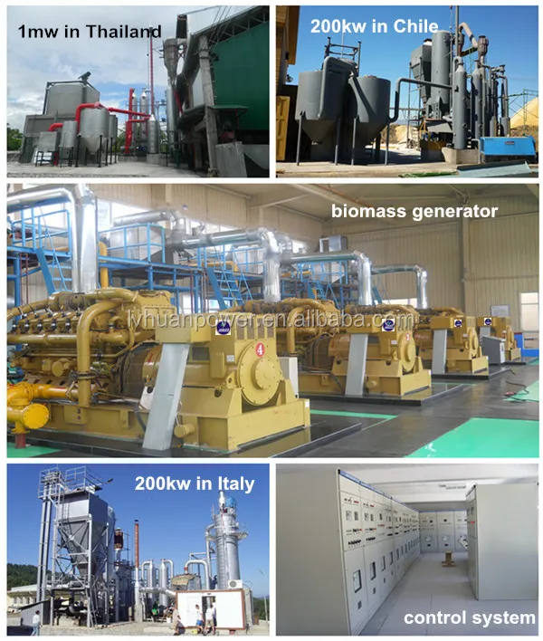 gasification home biomass generator electric power biomass