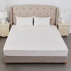 Hypoallergenic Bed Bug Cover Waterproof Mattress Protector