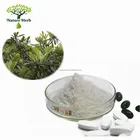 Price Powder Leafpowder Dried Rosemary Leaves Extract Low Price Rosemary Herb Powder Ursolic Acid