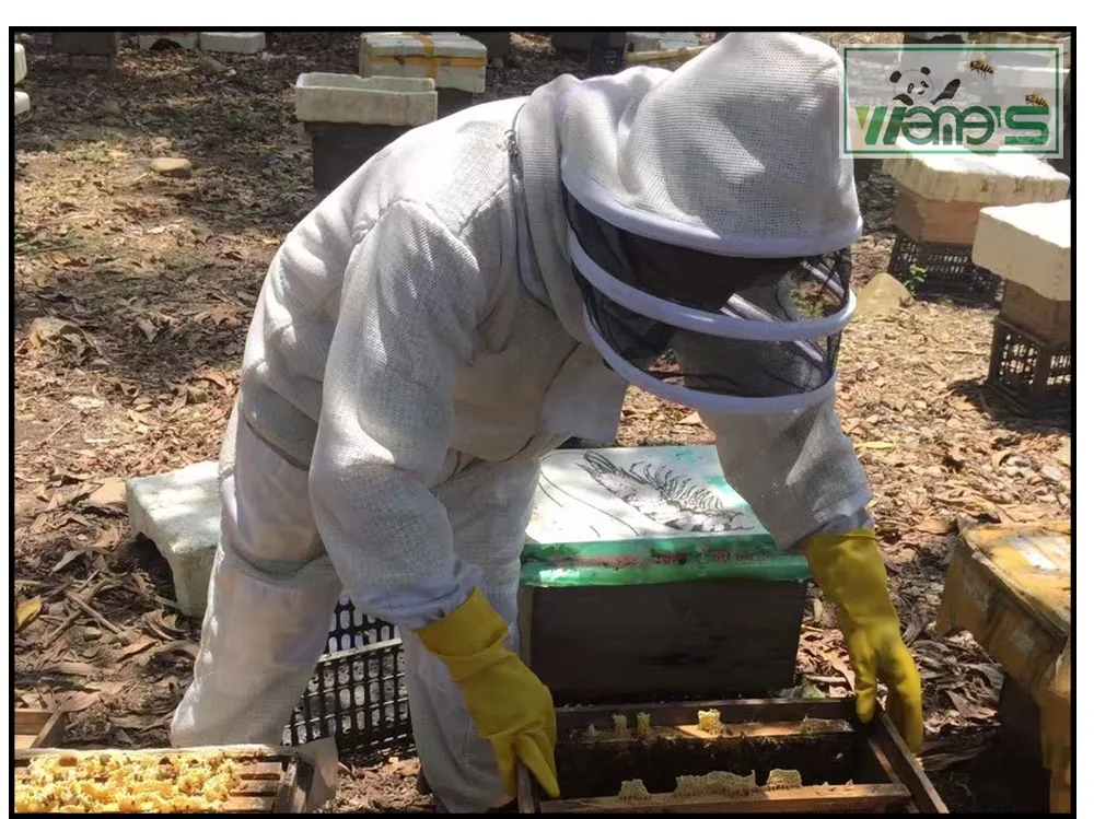 꿀벌 보호 의류 3층 공기가 뚫린 연출망 꿀벌 양육 수면 뚜?? 이 있는 꿀벌 양식복
