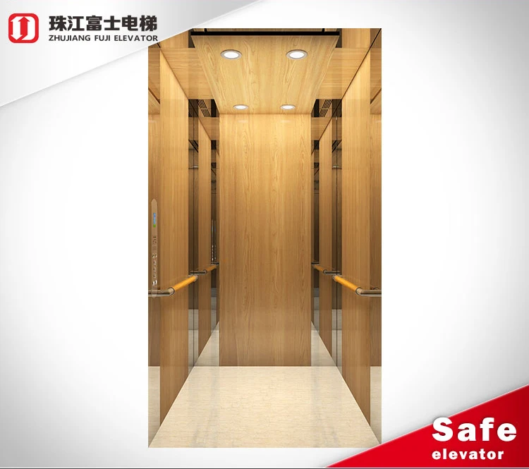 Guangdong Fuji elevator 400Kg home elevator home lift elevator luxury villas