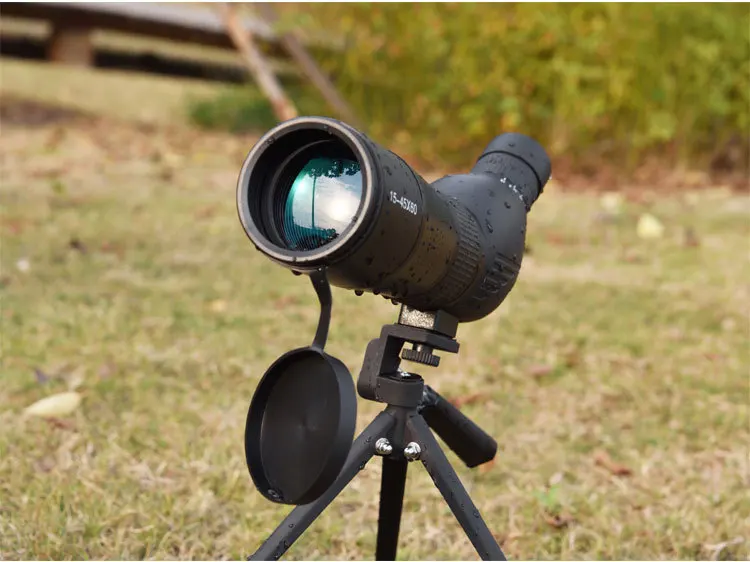 6616689014_2108484305