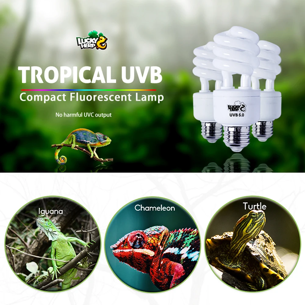 reptile light bulbs