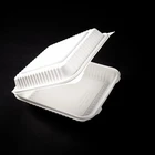 PLA biodegradable disposable dinnerware 8"lunch box