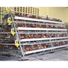 Poultry Farming Equipment a type layer chicken cage with automatic system for sale