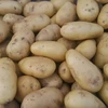 /product-detail/new-holland-potato-on-sale-601050308.html