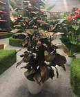 Artificial Plants Manufacturers Artificial Potted Plants Artificial Potted Flowers Artificial Flores