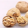 High Quality Walnuts Hot Selling in Ukraine White Walnuts