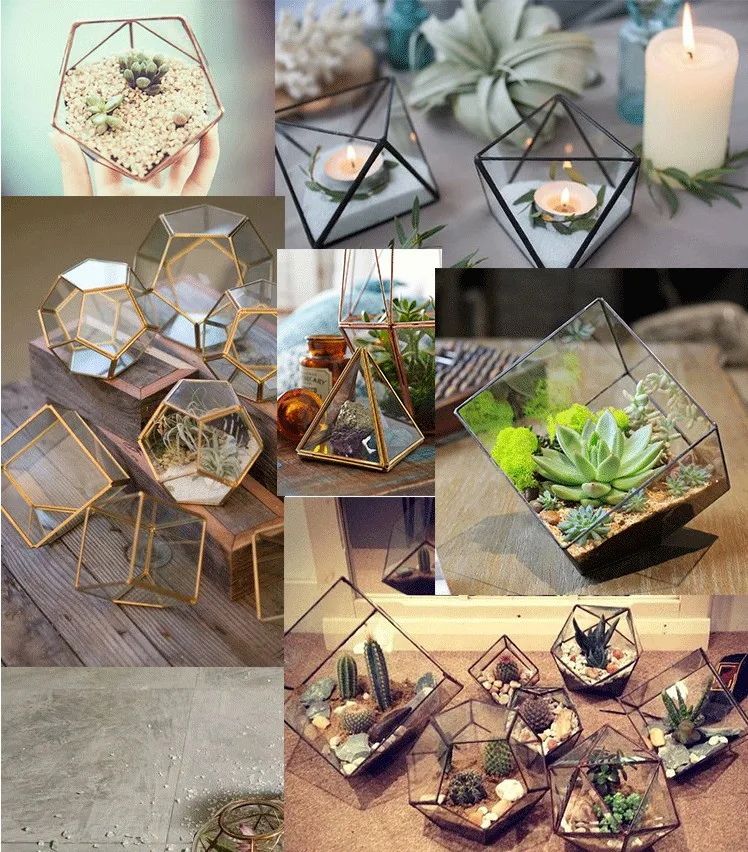 geo terrarium04.JPG