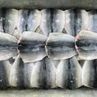 Frozen Fish Block Frozen Mackerel Fish Seafood