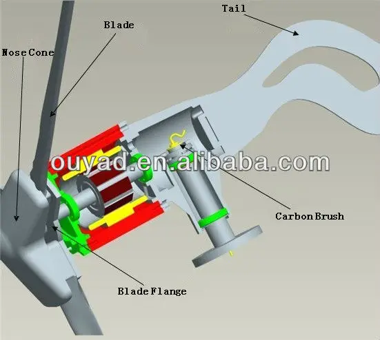 Structure of Angel
