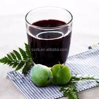 Juice Production Equipment With Concentrated Green