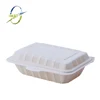 /product-detail/700ml-disposable-bento-lunch-box-for-sale-559281192.html