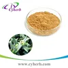 Purity Ten great contribution extract/Leatherleaf Mahonia Extract for Lung Care Product