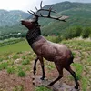 /product-detail/outdoor-decorative-life-size-bronze-deer-garden-statue-metal-sculpture-60693140418.html