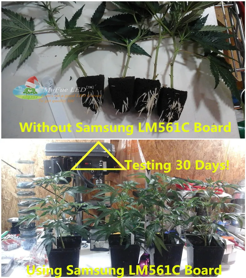 full spectrum for indoor greenhouse plants,led light wholesale price,ww xxxx