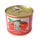 210g China manufacturers tomato paste tinned