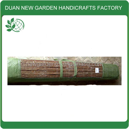 Fotos spanish, Montones de galerías de fotos en Alibaba.com, imagen spanish