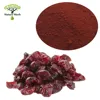 China supplier Dried Water Soluble Cranberry Fruit Dry Extract 25% powder