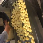 Automatic Taro Cassava Potato Washing Peeling Machine