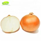 Fresh Yellow Onion Natural Cheap High Quality