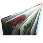 High quality offset printing hardcover comic book