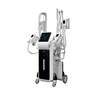 Trade assurance! Hot sale cool shaping cryo lypolysys burn fat freezing machine / cryotherapy equipment