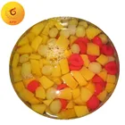 hot sales canned fruits cocktail in syrup/canned fruits