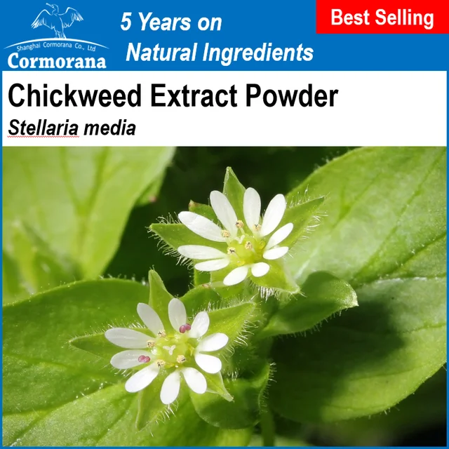 chickweed leaf extract