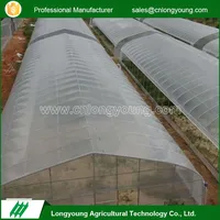 Cheap Greenhouse For Sale From Big