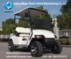 Golf buggy, electric