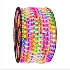 Wire Rope Flexible Flat Taxi Led Neon Light Banana Color