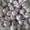 /product-detail/2019-fresh-garlic-4-5cm-5-0-cm-to-5-5-cm-to-garlic-importer-62067244884.html