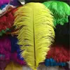 35-40cm Custom White Bulk Ostrich Feather
