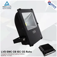 Zhongshan Professional Led Lighting Double Chips
