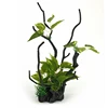 /product-detail/2018-new-fish-tank-ornament-artificial-mini-bonsai-tree-60757025677.html