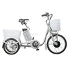 /product-detail/opened-caogo-trike-little-mini-electric-tricycle-for-adults-with-model-rsd-704-60696544582.html