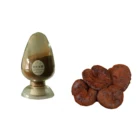 Extract Japan Reishi Mushroom Extract Powder Reishi Extract Powder Japan Reishi Mushroom