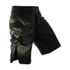 Wholesale OEM service Blank Sublimated MMA Fighting Muay Thai Shorts Custom Printed Plus Size