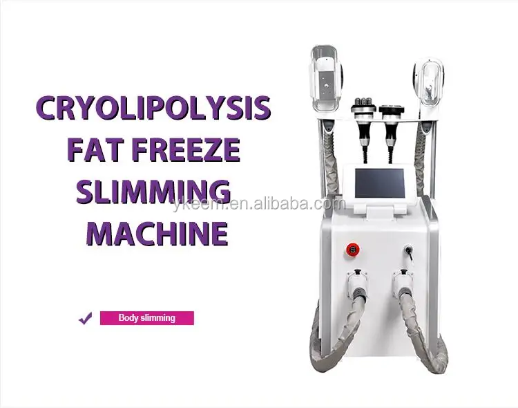 vacuum cryolipolisie portable
.jpg