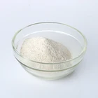 Duck flavor seasoning powder for snack food