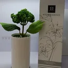Eco-friendly Ultrasonic Aromatherapy Essential Oil Diffuser Gift Set
