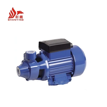 domestic water pump motor