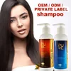 New hot sale lushing hair care sets professional high quality shampoo and conditioner