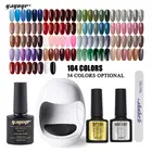 Art Decoration Varnish Salon Set Soak Off Gel Nail Polish Starter Kit