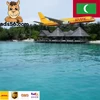 Air Shipping to Maldives Male from Shenzhen Guangzhou Hongkong --Wechat: 13429815596