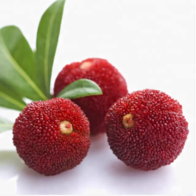 chinese red bayberry