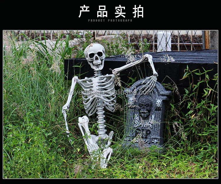 5 Feet Halloween Prop Life Size Skull Skeleton Haunted House Decoration Halloween Skeleton, High Quality Halloween Skeleton,Life Size Skeleton Skull,Skull Home Decor