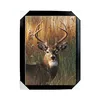 /product-detail/hot-sale-3d-lenticular-hologram-pictures-of-stag-lenticular-poster-deer-62024659848.html