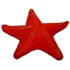 Artificial red resin starfish decoration for marine aquarium fish tank